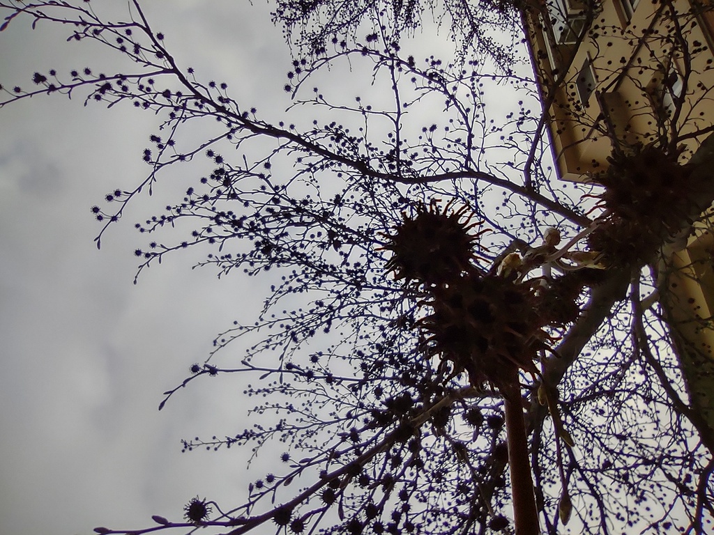 No s'ha trobat l'arxiu